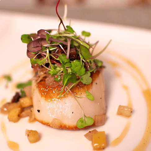 Seared Scallops